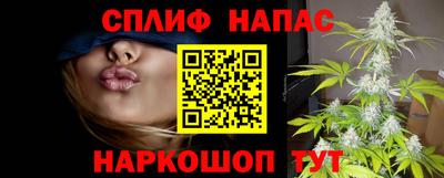 гашик Кохма