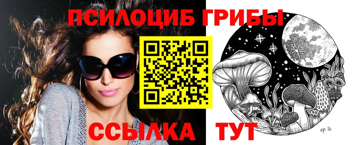 Кирово-Чепецк  Галлюциногенные грибы Cubensis  Галлюциногенные грибы Cubensis  Вход с VPN 